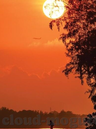 91国产麻豆视频-国内91国产麻豆视频的探讨——迷影背后的文化与影响
