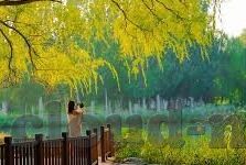 成人欧美一区二区-成人内容平台，网络文化的双刃剑