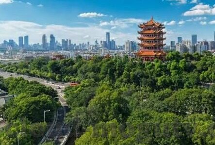 麻豆传媒黄色-从网络文化的双刃剑到个人道德的试炼场，网络色情短视频的隐忧与辨思