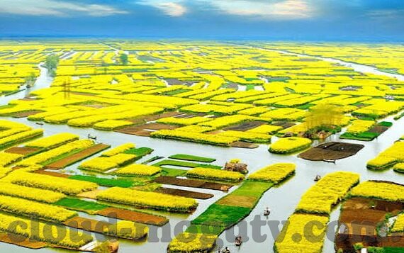 蜜桃传媒av免费观看麻豆->>> 探秘网络上的成人内容，蜜桃传媒与麻豆相关资料之风云记