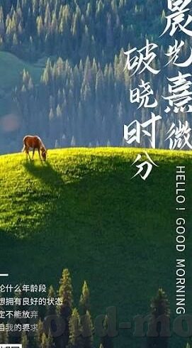 人妻美由纪-探寻人妻美由纪，传统与现代交织的魅力